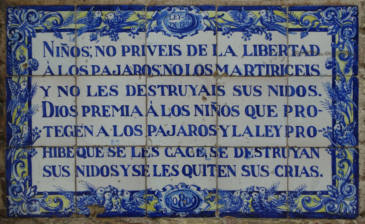 03160. Panel epigráfico alusivo a la protección de los pájaros. Colegio Carmen Benítez. Sevilla.