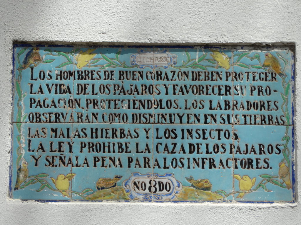 03162. Panel epigráfico alusivo a la protección de los pájaros. Colegio Borbolla. Sevilla.